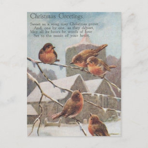 Carte Postale CHRISTMAS GREETINGS  five robins on branches