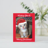 Carte postale Christmas Kitten (Debout devant)