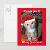 Carte postale Christmas Kitten (Devant / Derrière)
