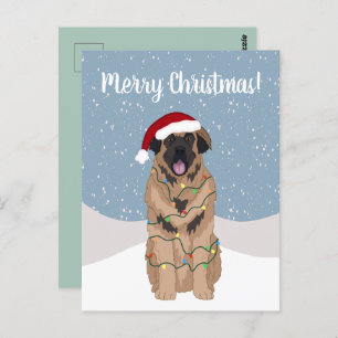 Carte Postale Christmas Leonberger