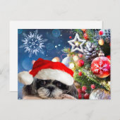 Carte postale Christmas Père Noël Shih Tzu (Devant / Derrière)