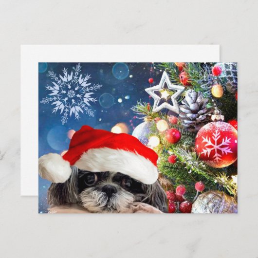 Carte postale Christmas Père Noël Shih Tzu (Devant / Derrière)