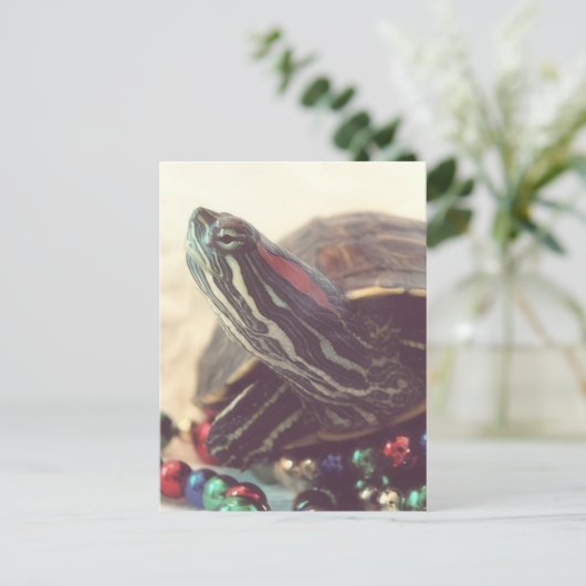 Carte Postale Christmas Turtle (Debout devant)