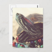 Carte Postale Christmas Turtle (Devant / Derrière)