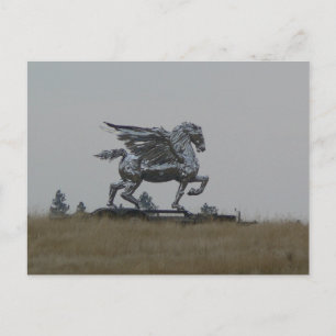 Carte Postale Chrome cheval