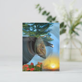 Carte Postale Chrysalis cherokee (Debout devant)