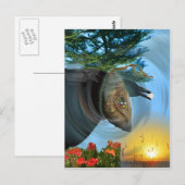 Carte Postale Chrysalis cherokee (Devant / Derrière)