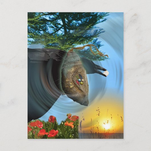 Carte Postale Chrysalis cherokee (Devant)