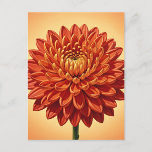 Carte Postale Chrysanthème botanique rouge orange vibrant