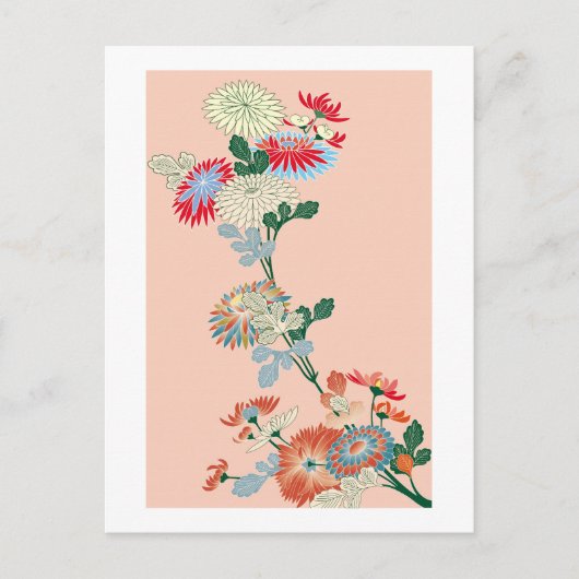 Carte Postale Chrysanthème japonais (Devant)