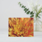 Carte Postale Chrysanthème jaune (Debout devant)
