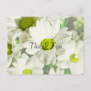 Carte Postale Chrysanthème Merci