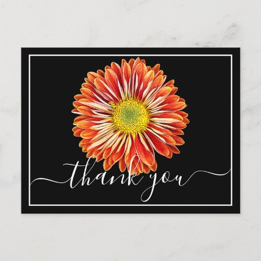 Carte Postale Chrysanthème orange Fond noir Merci (Devant)