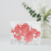 Carte Postale Chrysanthème rose (Debout devant)
