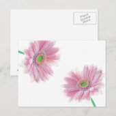 Carte postale CHRYSANTHÈME rose (Devant / Derrière)