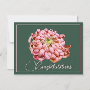 Carte Postale Chrysanthème rose Fond vert Félicitations