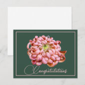 Carte Postale Chrysanthème rose Fond vert Félicitations (Devant / Derrière)