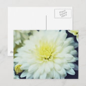 Carte Postale Chrysanthème texturé (Devant / Derrière)