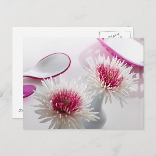 Carte Postale Chrysanthèmes (Devant / Derrière)