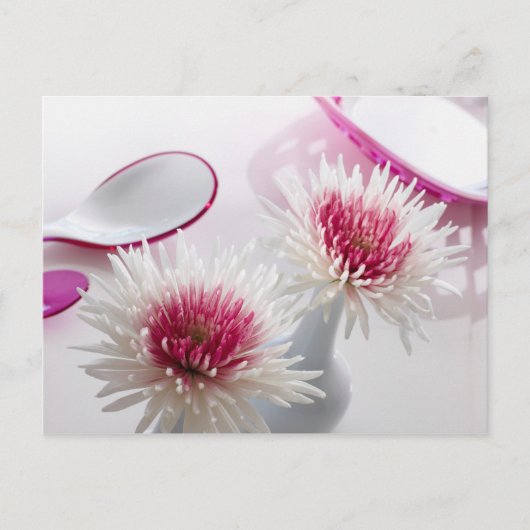 Carte Postale Chrysanthèmes (Devant)