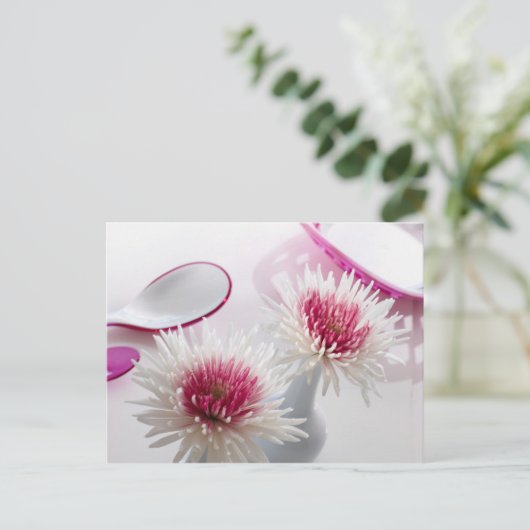 Carte Postale Chrysanthèmes (Debout devant)