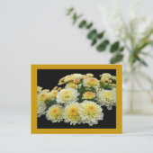 Carte Postale Chrysanthèmes citron meringue (Debout devant)