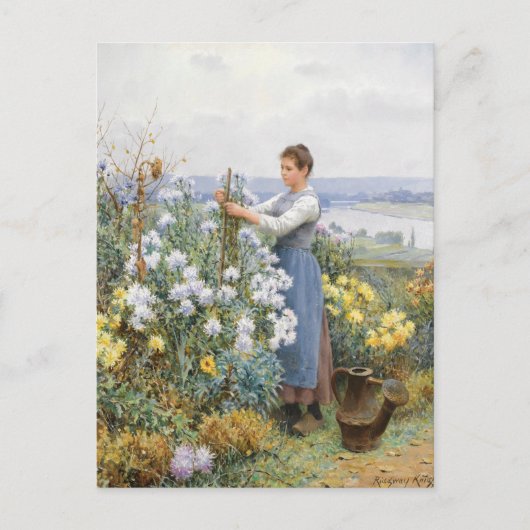 Carte Postale Chrysanthèmes | Daniel Ridgway Knight (Devant)