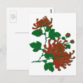 Carte Postale Chrysanthèmes d'araignée chinois - rouge profond (Devant / Derrière)