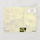 Carte Postale Chrysanthèmes jaune soleil (Dos)