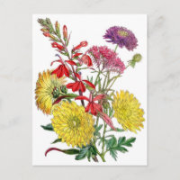 Chrysanthèmes jaunes et fleurs pourpres de Scabios