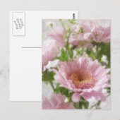 Carte Postale Chrysanthèmes rose 5 Élégance (Devant / Derrière)