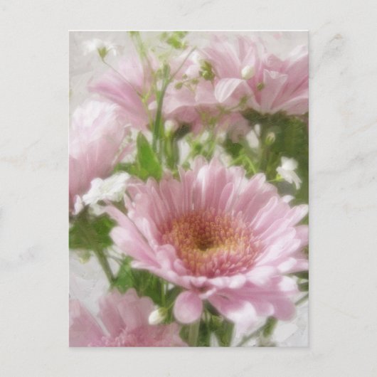 Carte Postale Chrysanthèmes rose 5 Élégance (Devant)