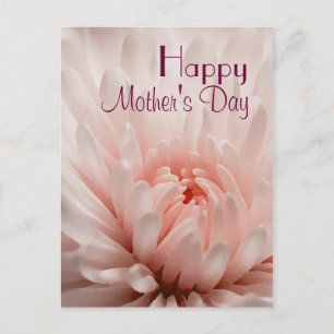 Carte Postale Chrysanthemum - Bonne fête des mères Customisée