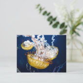 Carte Postale Chrysaora fuscescens (Chrysaora fuscescens) (Debout devant)