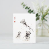 Carte postale Chrysaora Jellyfish (Debout devant)