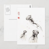 Carte postale Chrysaora Jellyfish (Devant / Derrière)