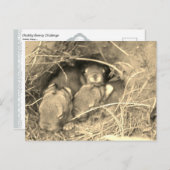 Carte Postale Chubby Bunny Challenge - (Devant / Derrière)