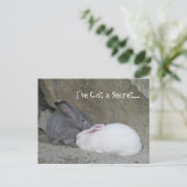 Carte Postale Chuchoteur de lapins (Debout devant)