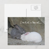 Carte Postale Chuchoteur de lapins (Devant / Derrière)