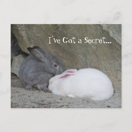 Carte Postale Chuchoteur de lapins (Devant)