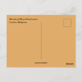 Carte Postale Church of Christ Pantocrator Nesebar Bulgaria (Dos)