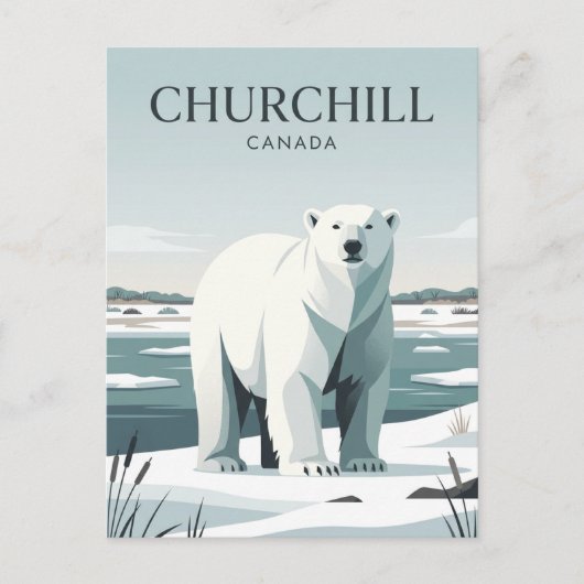 Carte Postale Churchill Canada (Devant)