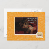 Carte Postale Chut ! ! ! Piggy ! ! (Devant / Derrière)