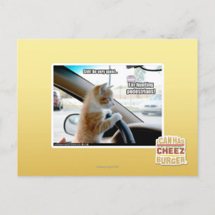 Carte Postale Chut ! Soyez calme