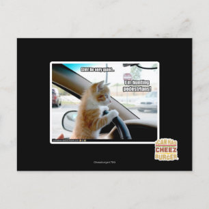 Carte Postale Chut ! Soyez calme