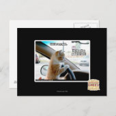 Carte Postale Chut ! Soyez calme (Devant / Derrière)