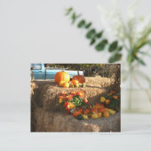 Carte Postale Chute à Ellington, CT. (Debout devant)