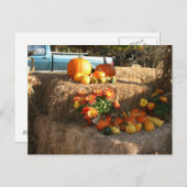 Carte Postale Chute à Ellington, CT. (Devant / Derrière)