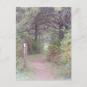 Carte Postale chute appalachienne Pennsylvanie de traînée