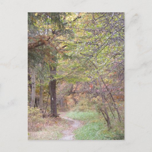 Carte Postale chute appalachienne Pennsylvanie de traînée (Devant)